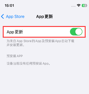 颍州苹果15维修中心如何让iPhone15APP自动更新